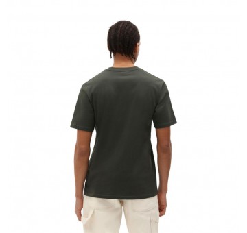 Camiseta Dickies SS Mapleton T Shirt Verde