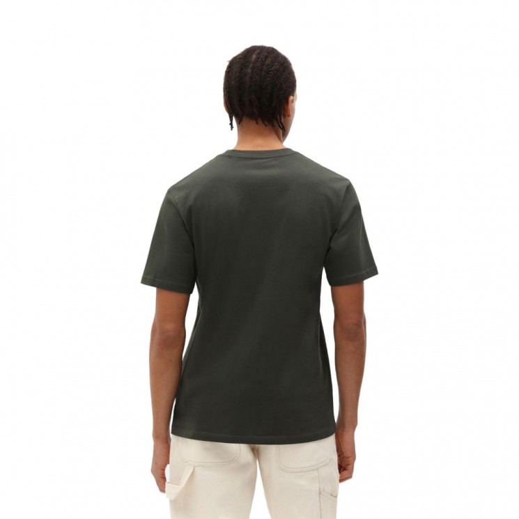 Camiseta Dickies SS Mapleton T Shirt Verde
