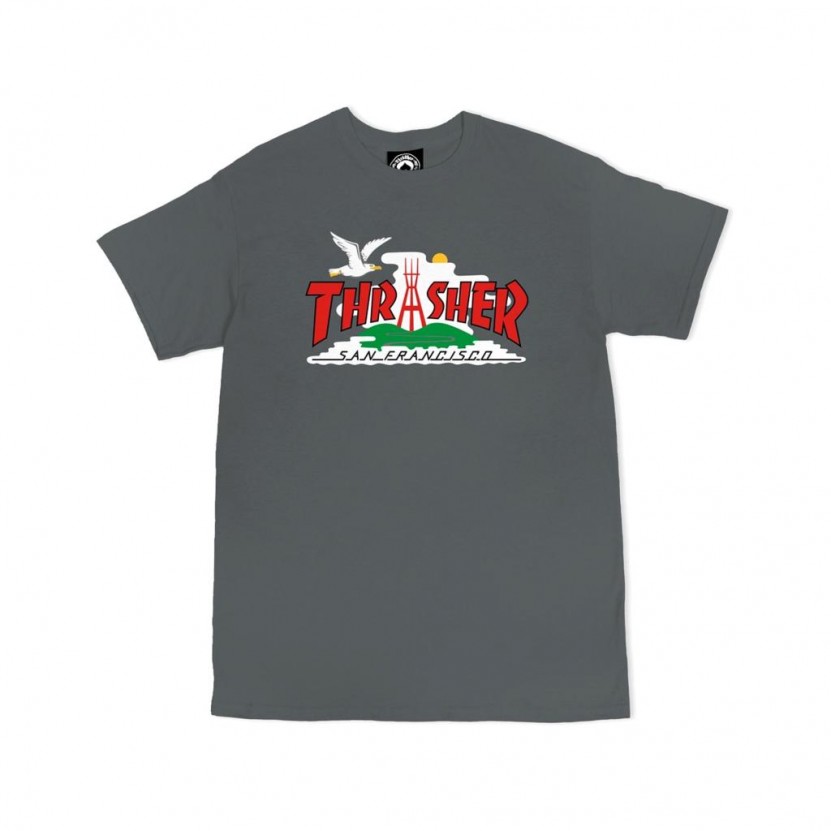 Camiseta Thrasher The City Tee Gris