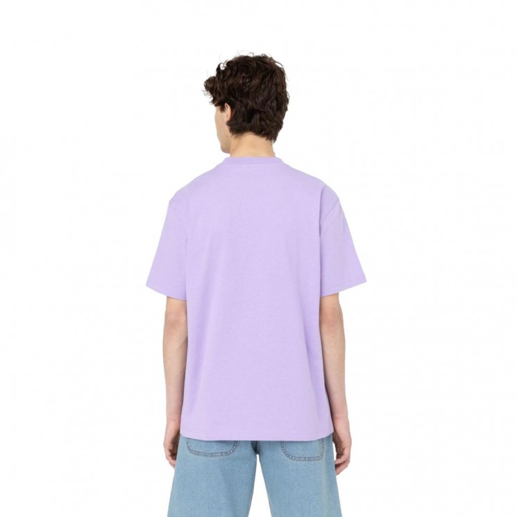 Camiseta manga corta lila PORTERDALE de Dickies