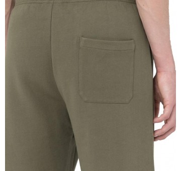 Pantalon corto verde oliva MAPLETON SHORT de Dickies