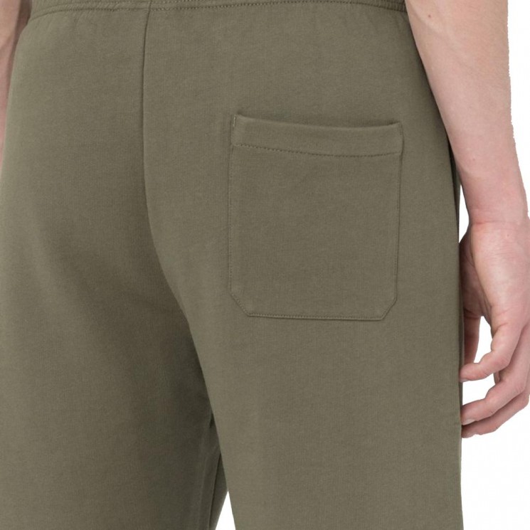 Pantalon corto verde oliva MAPLETON SHORT de Dickies